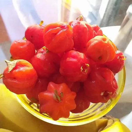 Crystal Madeira Funchal (Madeira)