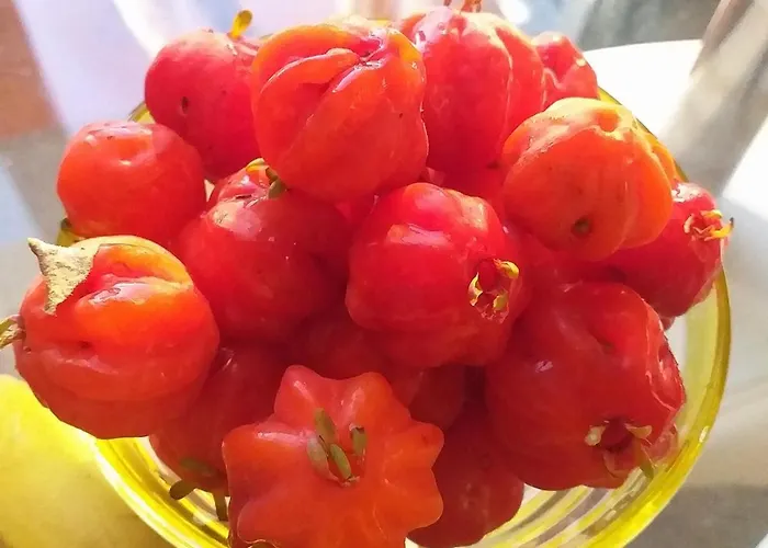 Crystal Madeira Funchal (Madeira)